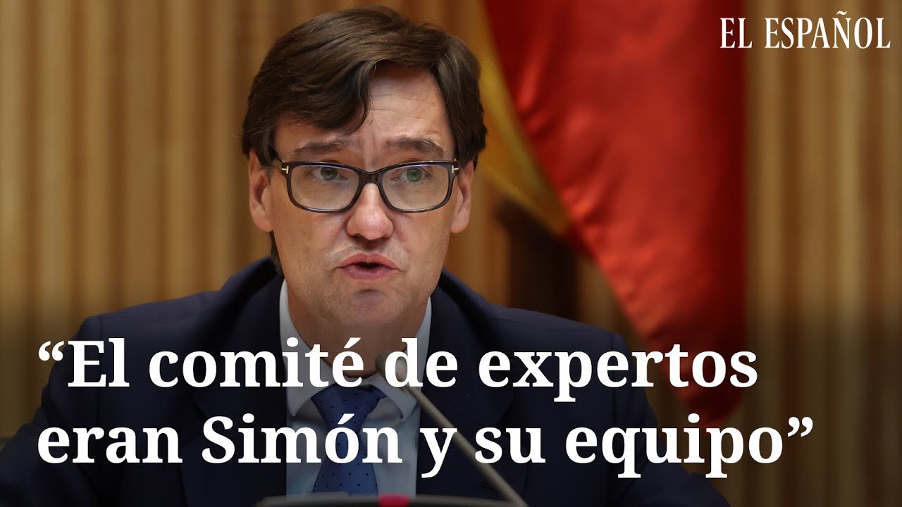 comite de expertoslt