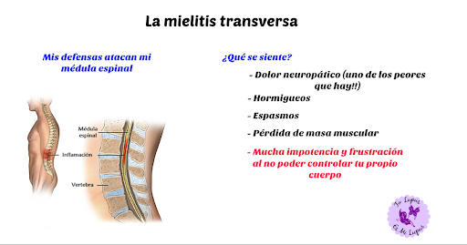 mielitis transversa