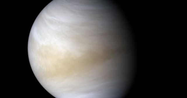 ¿HAY VIDA EN VENUS?
