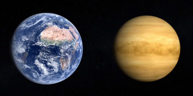venustierra