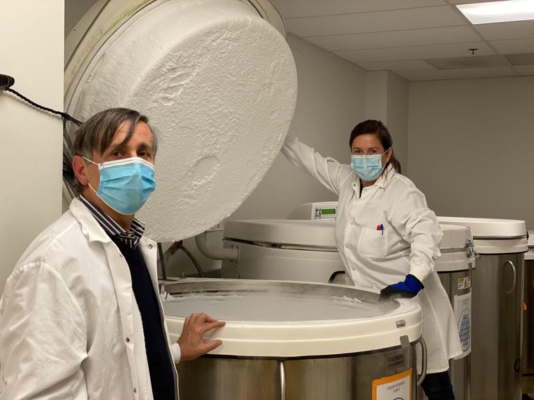 CORONAVIRUS: UNA BUENA NOTICIA PERO… ¡AHUUU!