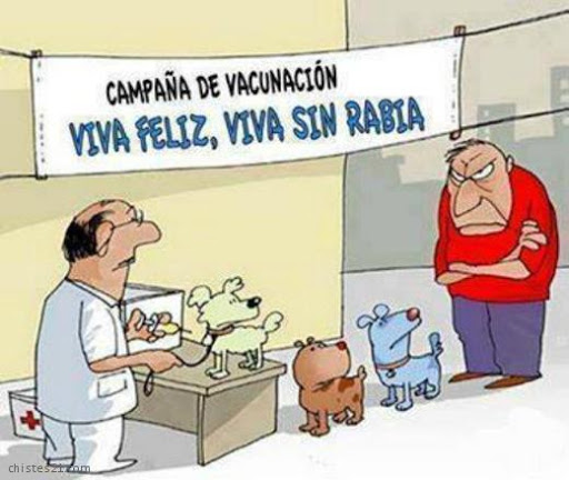 vacuna chiste