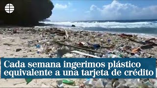 EL PLASTICO “ALIMENTO” OBLIGADO EN NUESTRA DIETA